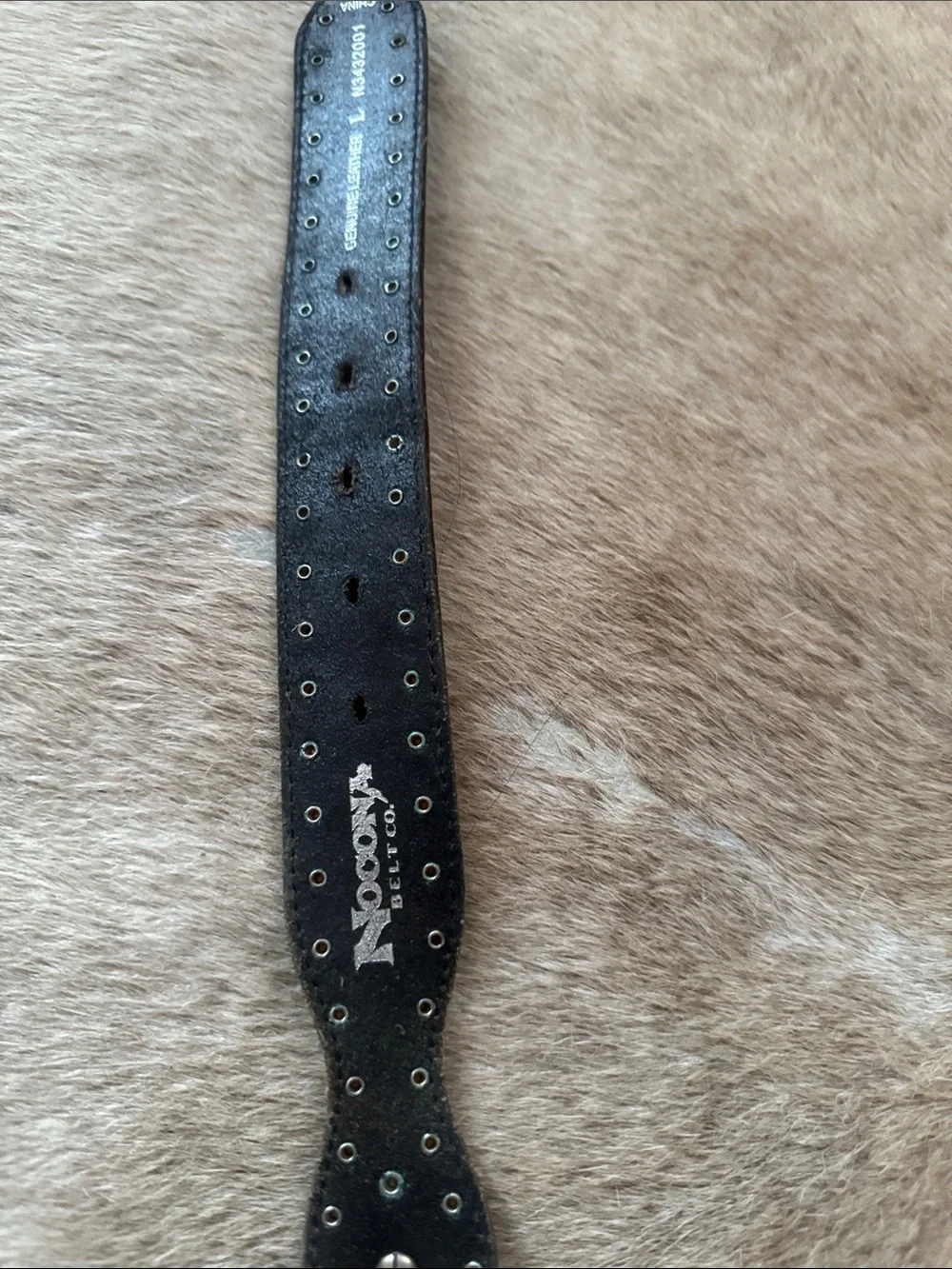 Studded Black Western Leather Belt with Silver Conchos in excellent condition
